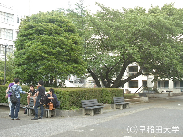 新緑の西早稲田キャンパス前で談笑する学生